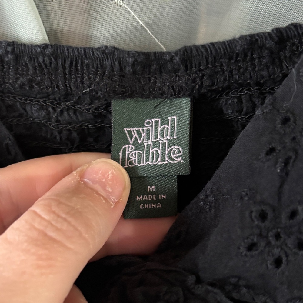 Wild Fable Black Eyelet Mini Dress - Picture 3 of 6